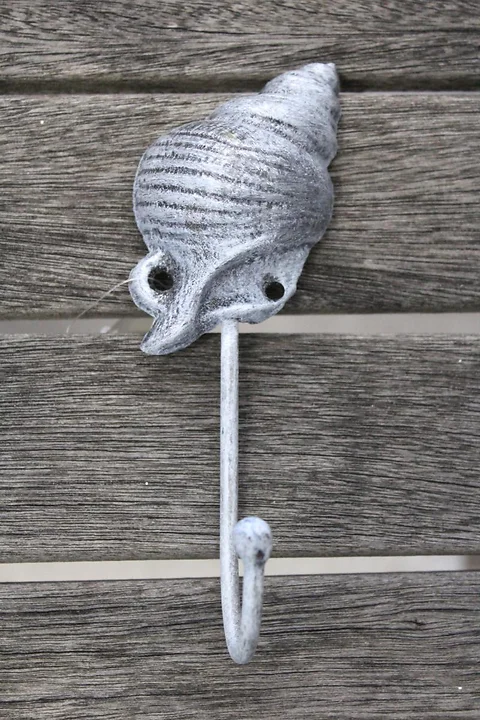 Wandhaken Muschel