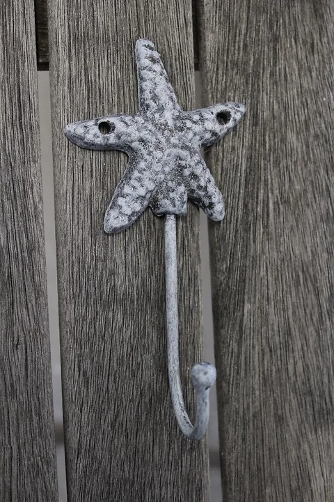 Wandhaken Seestern
