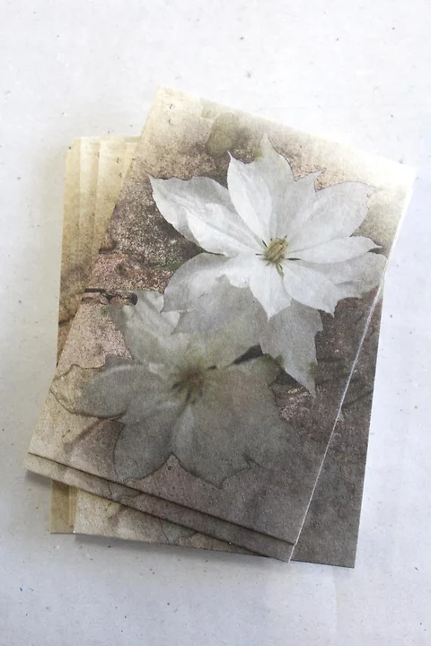 Kleine Karte *Clematis*