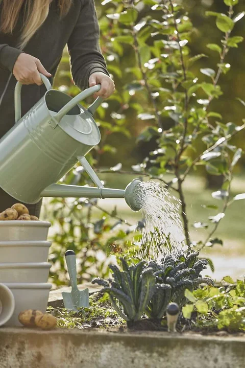 Giesskanne Hellgrün 11ltr