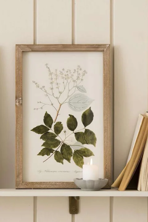 Bild *Baum Majagua* H38cm