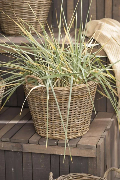 Rattankorb mit Griffen H39cm