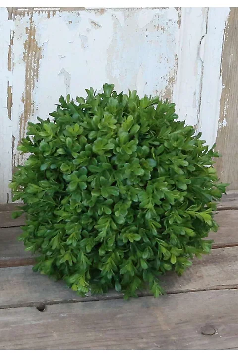 Buchsbaum Kugel ø23cm