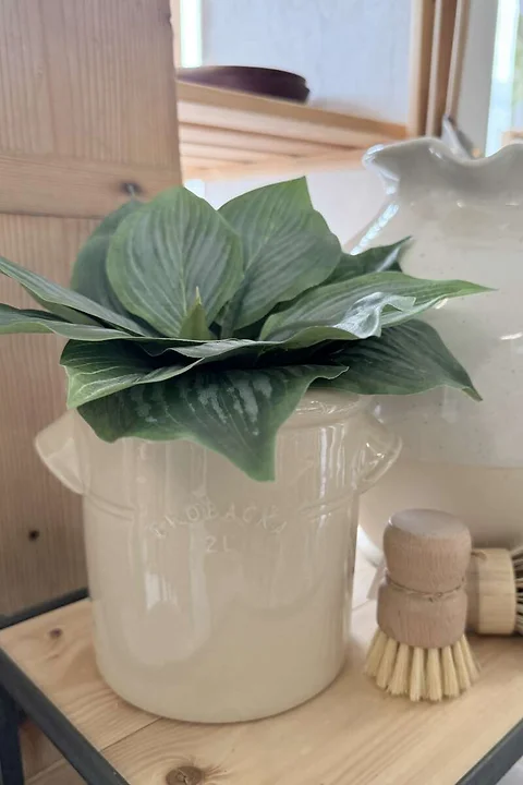 Topf Brobacka 2L Buttercreme